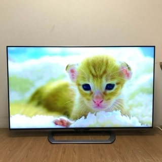 即日受渡❣️国内製造 高品質SHARP60型クアトロンTV YouTube?42000円