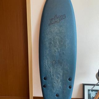 　キャッチサーフ　ラウンドノーズフィッシュ　サーフボード　スポンジボード