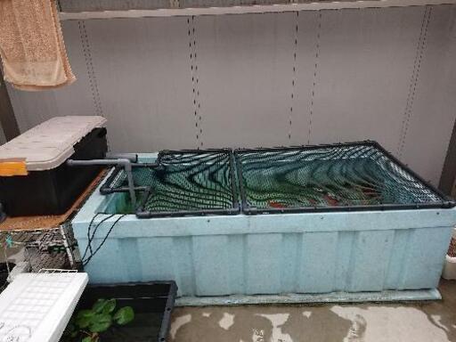 大型水槽