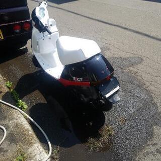 AF16 タクト 旧車‼️