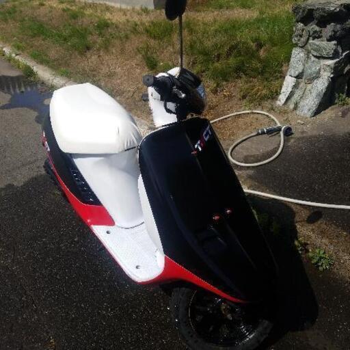 激レア！タクトAF16シート 新品 タクト（TACT） - シート - バイク王