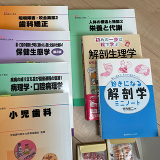 歯学部 教科書 バラ売り 相談ください 歯学部 教科書 バラ売り 相談ください (歯科衛生士の本と模型)