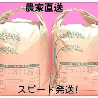 令和2年福井県産コシヒカリ玄米30kg - 食品