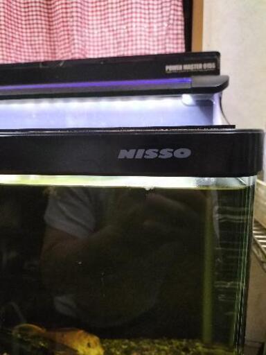 ニッソー900曲げガラス水槽セット