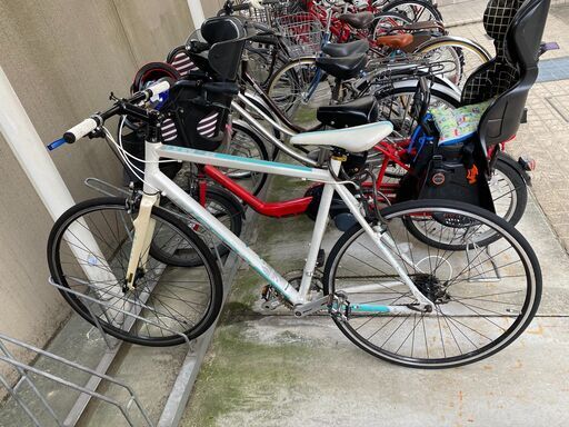 Bianchi ROMAⅡ　ビアンキ　ローマ２　綺麗だと思います！