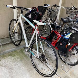 Bianchi ROMAⅡ ビアンキ ローマ2 綺麗だと思います！