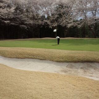 ゴルフパートナー募集😊⛳　 - スポーツ