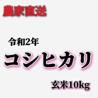 【ネット決済】令和2年　越前市産コシヒカリ玄米30kg