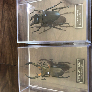 ディアゴスティーニ　世界の昆虫　５９＋２種類セット