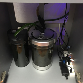 60cmワイド水槽一式 海水魚 サンゴ