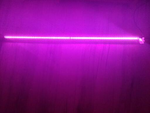 1200水槽　LED照明(レッド)　アクアリウム