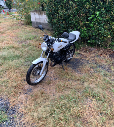 ヤマハ RZ50 RA 01J 原付 バイク 50cc 車体 本体 【公式通販】