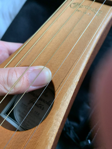 マーティン バックパッカー 超希少！ マーティンギター 初期型バック