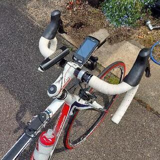 リドレー カーボンフレーム