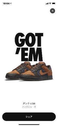 NIKE DUNK CIDER シードル