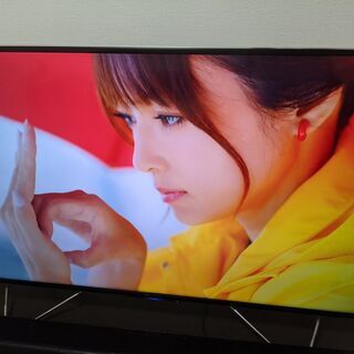 4K対応テレビ フナイ49インチ 最上位モデル FL-49UA6000