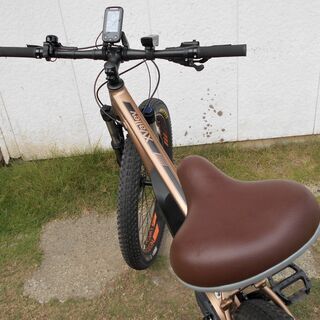 NESTO XValley 電動MTB 27.5インチ 10段変速