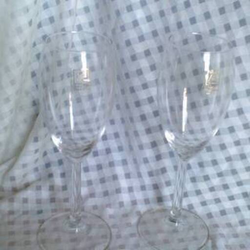 新品　TABLE WARE adam and eve　AZ-887　ルディー　ペアワイングラス　たち吉