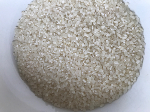 ⭐️お値下げしました⭐️2024新米30kg 新米【2024年生産のコシヒカリです！！】【9/14(土)13時〜15時】の間で