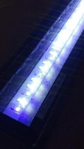KSS LED-17000K 600 珊瑚飼育用LEDライト