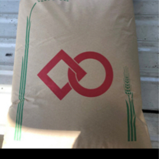 【大好評】令和２年度　日南町産　お米　30kg