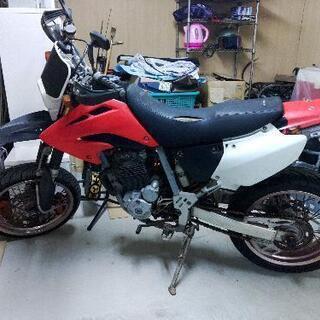 XR250モタード