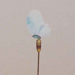 butterfly ring 【アート作品】販売します。 - つくば市