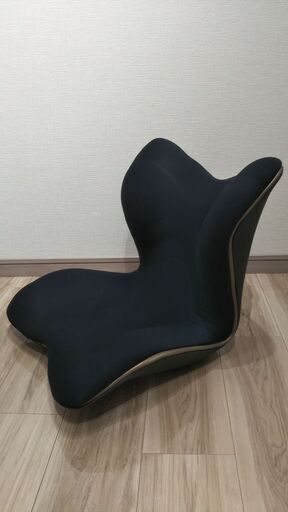 スタイルプレミアム　姿勢矯正　美品