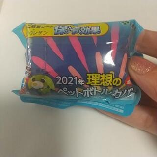 中古お茶犬が無料 格安で買える ジモティー 中古お茶犬が無料 格安で買える ジモティー