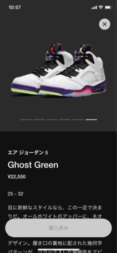 AIR JORDAN5 Ghost Green 26㎝