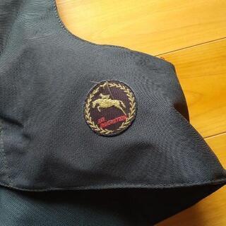 ヒットエアー(乗馬に使用)