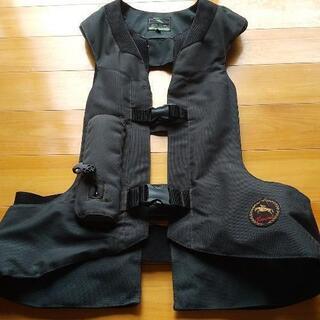 ヒットエアー(乗馬に使用)