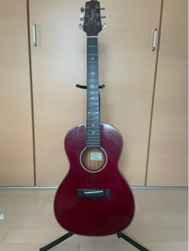 タカミネ TAKAMINE T-Series T-P2 STR TAKAMINE(タカミネ） Acoustic 