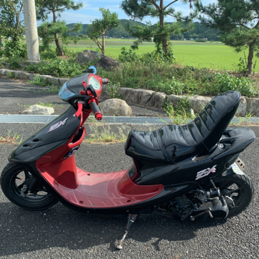 ♡ ライブディオZX仕様 実動 原付 af34 af35 早い者勝ち 専用× ホンダ