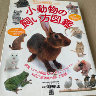 小動物飼い方図鑑