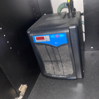 レッドシーMax250水槽、水槽台その他フルセット