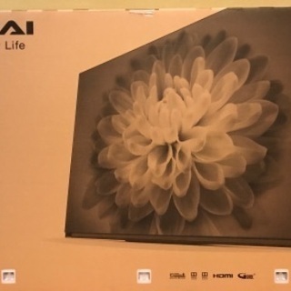 新品 FUNAI 65型 有機ELテレビ FE-65U7010 ④ 【公式通販】