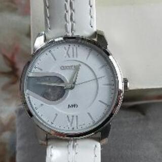 廃盤 ORIENT（オリエント）ModeID（モデイド）自動巻WD0171DB