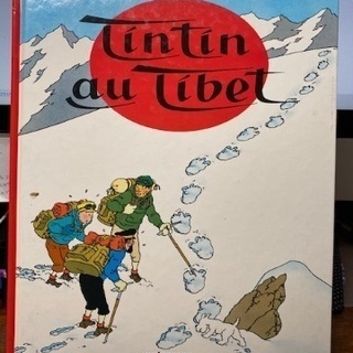 【ネット決済・配送可】タンタンの冒険　フランス語版　Tintin...