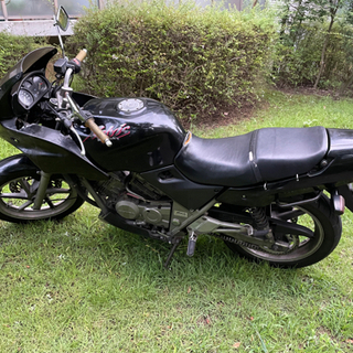 絶好調!!!!ゼルビス250 実働　見に来てね！！