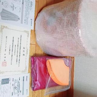 fan shrimp血統稚海老1センチぐらい