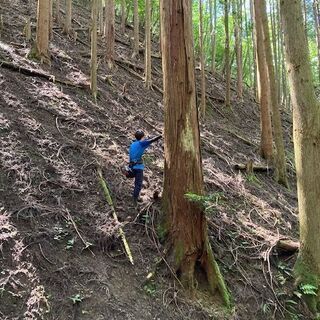 山林物件071　兵庫県丹波篠山市奥山