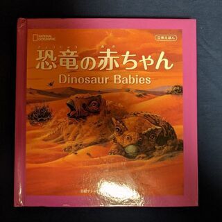 立体絵本  恐竜の赤ちゃん    