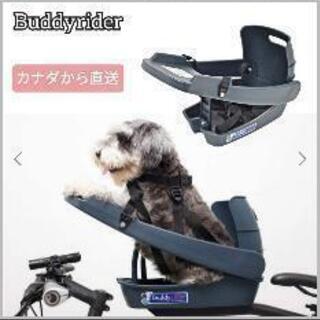 バディライダー | energysource.com.br