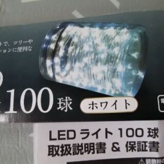 DOSHISHA  ワイヤータイプ LEDライト100球 ホワイト