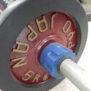 希少 ニッピョー バーベル 総重量17Kg シャフト+プレート プレート5kg