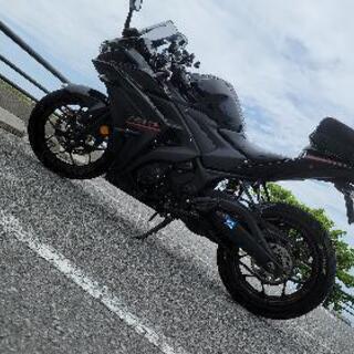YZF-R25 2018年式 艶あり