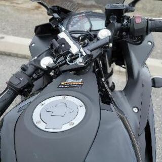 YZF-R25 2018年式 艶あり