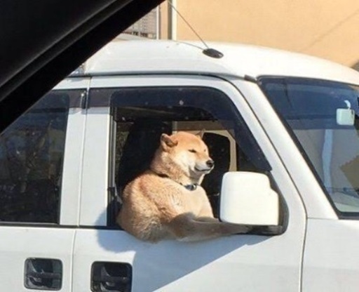 軽トラックでのお手伝い 9000円 モズの魔法使い 香芝の便利屋の無料広告 無料掲載の掲示板 ジモティー