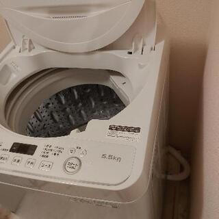 SHARP シャープ ES-GE5D-W 全自動洗濯機 (洗濯5.5kg) ホワイト系